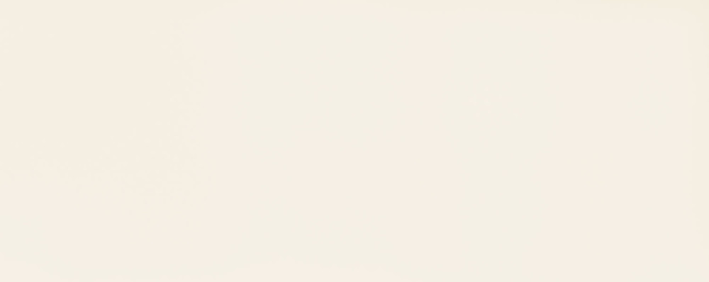 Senza White 29,8 x 74,8 cm