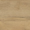 S. Gold 30x60 1