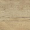S. Natural 30x60 1
