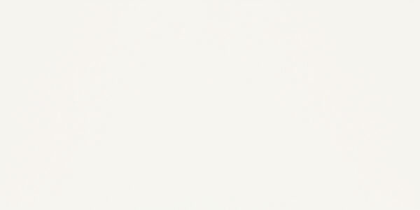 Paradyz Synergy Bianco 30 x 60 cm