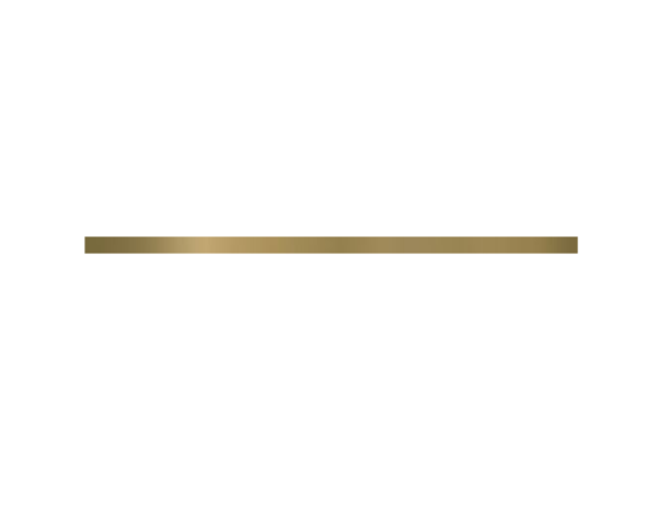 Paradyz Metal Gold 2 x 60 cm