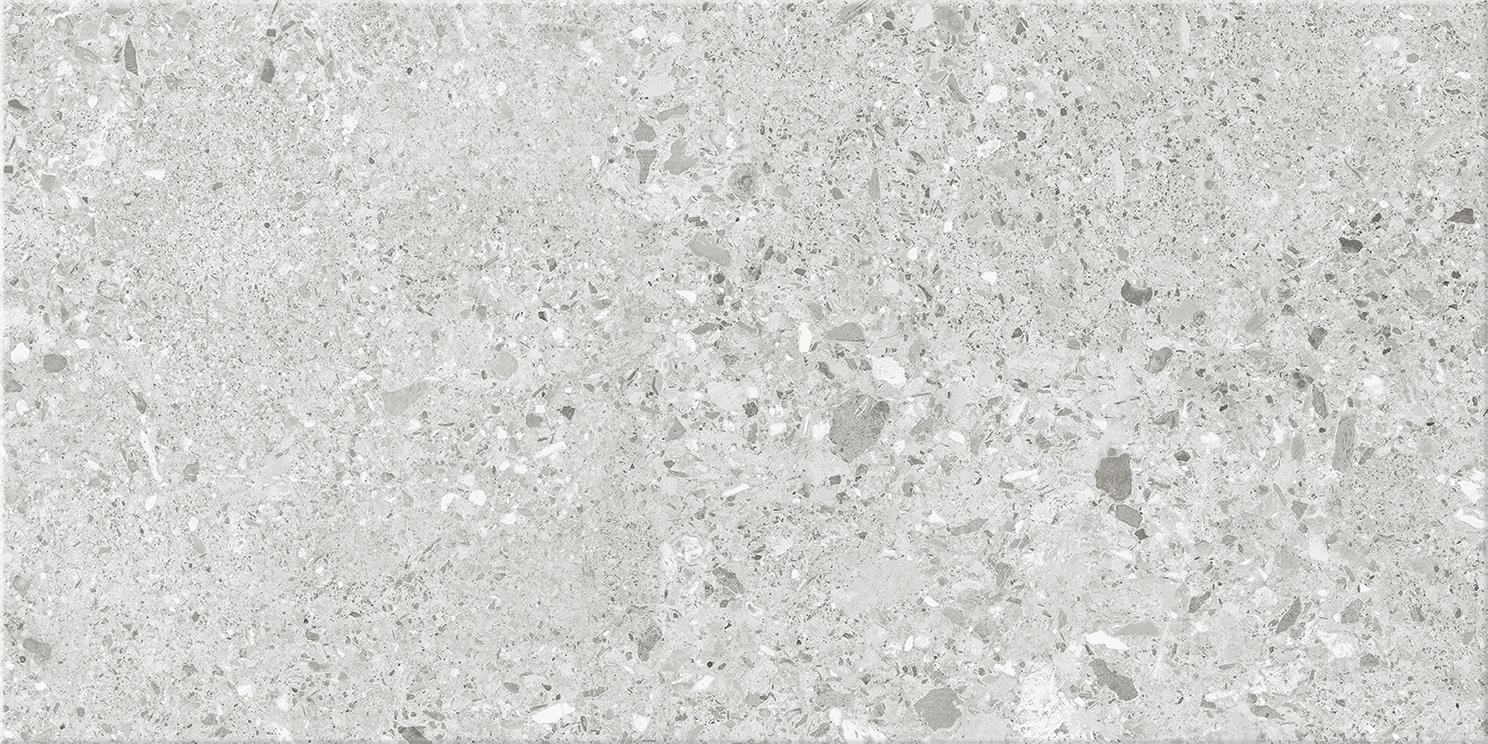 Terrazzo Grey 30 x60 cm
