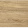 dreamwood glossy