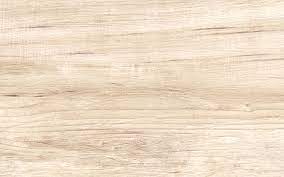 Equador Cream 25 x 40 cm