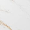 0048691890278 royal gold 60x120c 1
