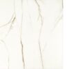 Sable White padlo