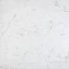 domino lily white lap