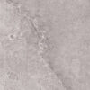 Grey lapp 3