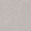 Silver 120