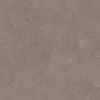 Taupe 2