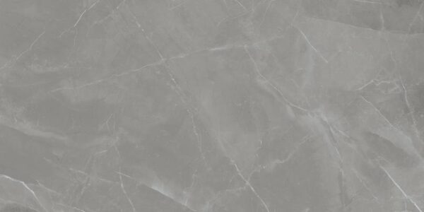 Grey Pulpis 59,8 x 119,8 cm