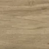 Honey 1