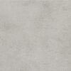 Light Grey 1
