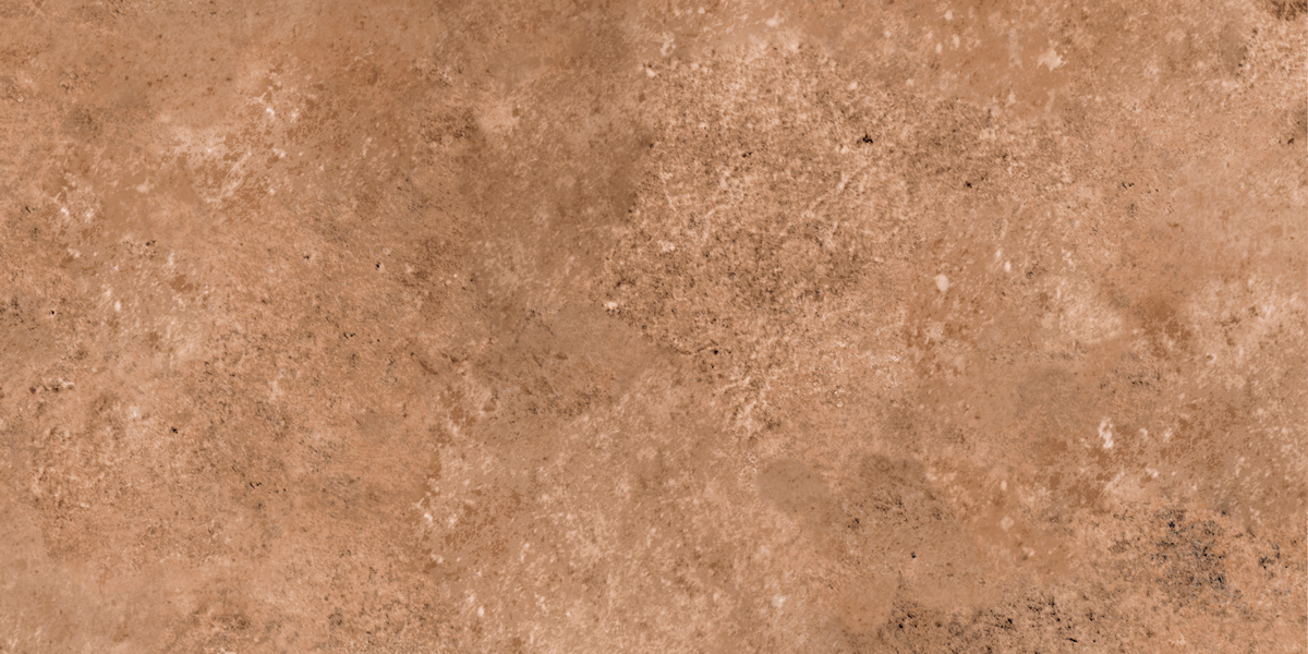 Terracotta Cotto 20 x 40,4 cm