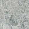 Terra Grigio Chiaro Rect. FT 120x60 F1