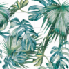 vernisage tropicana set