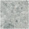 Tilezza Terra Grigio Chiaro 60 x 60 cm 1 k282418