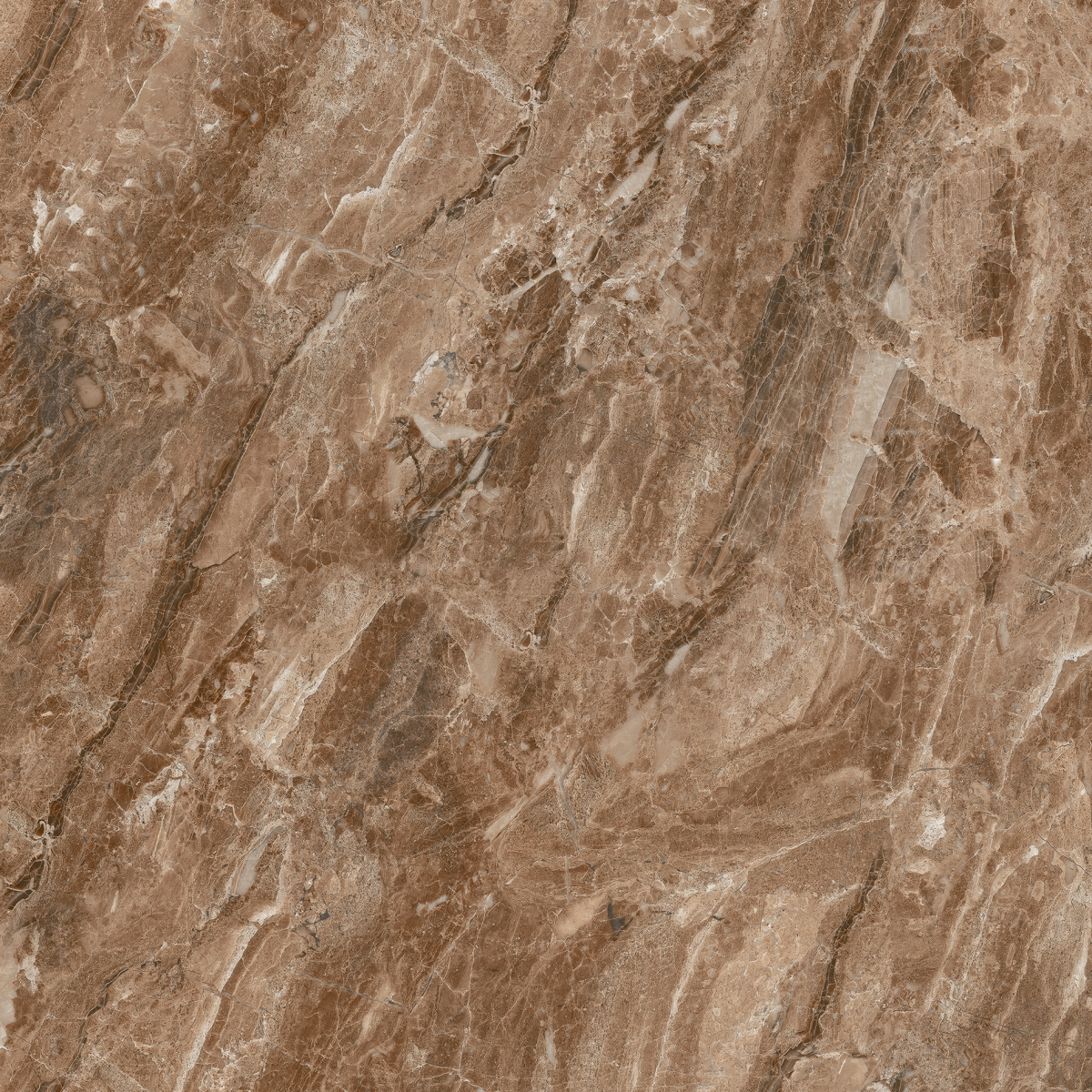 Bruno Brown  60 x 60 cm