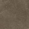 Arte Barbados Brown Str 30,8x60,8 cm 1 Brown