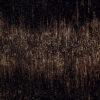 Stardust 1