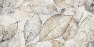 Margo Dekor 30 x 60 cm