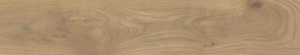 Taiga Honey 20 x 120 cm