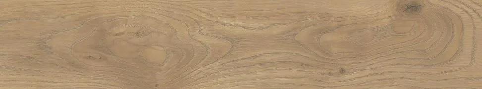 Taiga Honey 20 x 120 cm