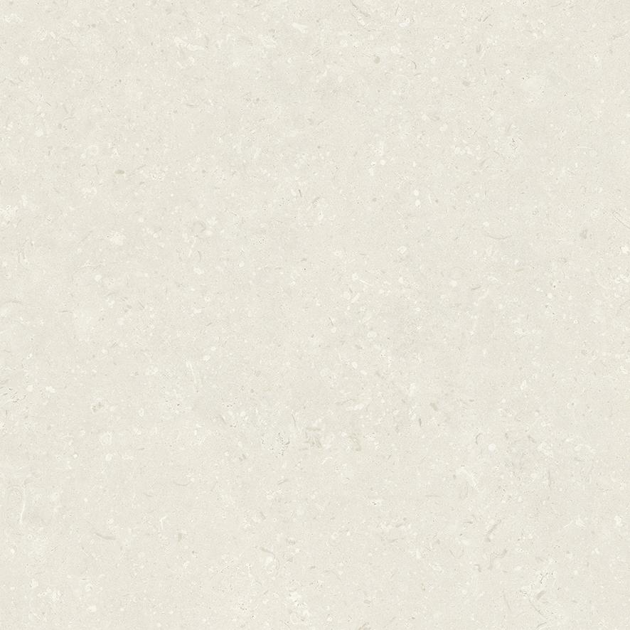 Valore Pietra Coral Natural 59,5 x 59,5 cm